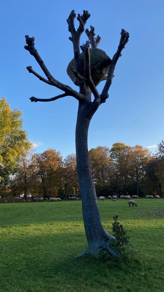 Ein Bronzebaum mit gekappten Ästen und einem großem Stein im Geäst. Der Penone-Baum in Kassel